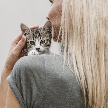 Optimización de Google Business Profile en Málaga